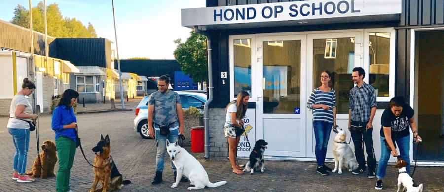Hond op school, toegankelijk voor iedereen en elke hond