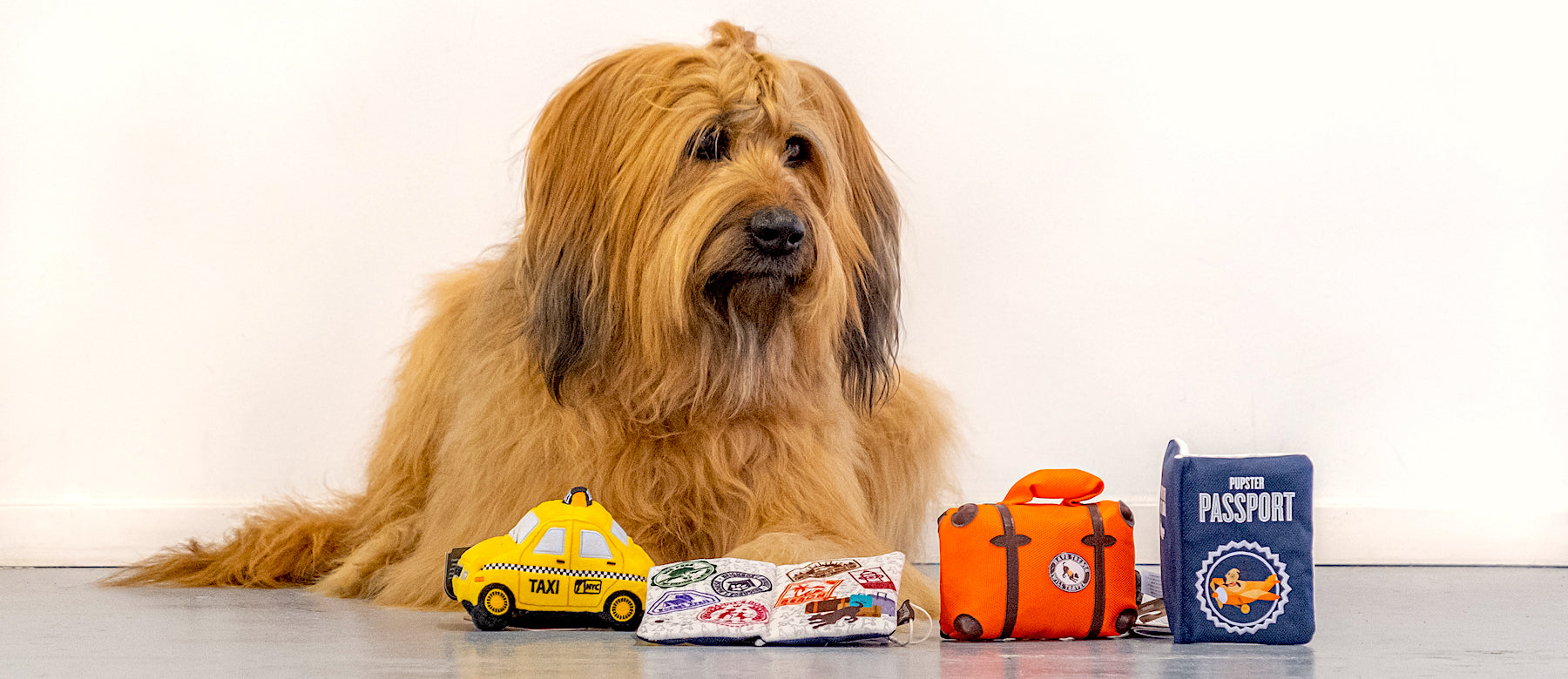 Met je hond op vakantie, leuk! Wat moet je van tevoren regelen.
