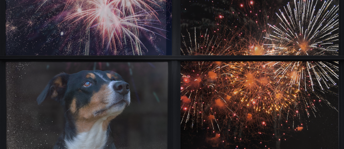 Tips voor Feestdagen en Oud & Nieuw