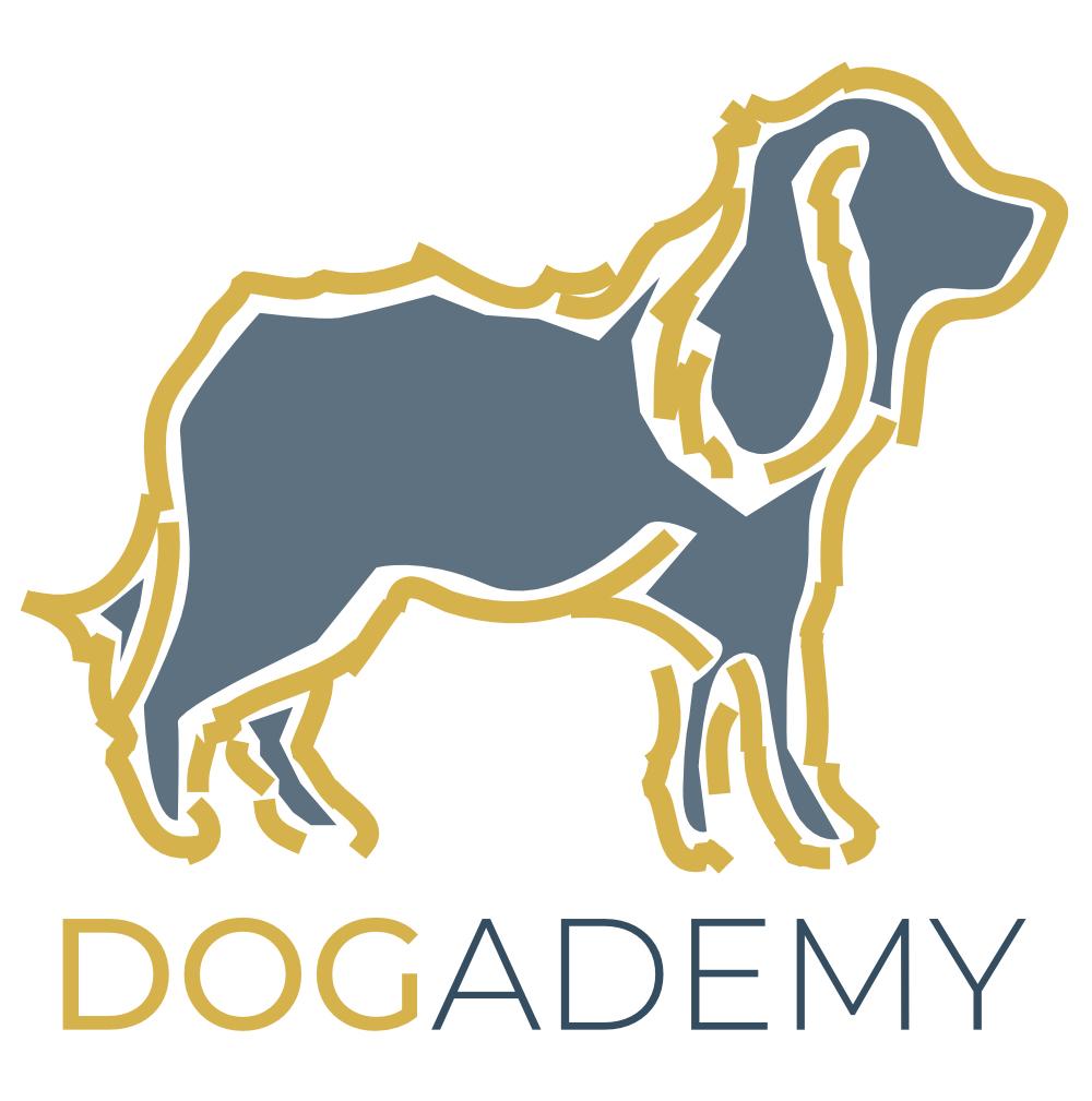 Puppycursus | Puppy PRO - Gehoorzaamheid Vervolg