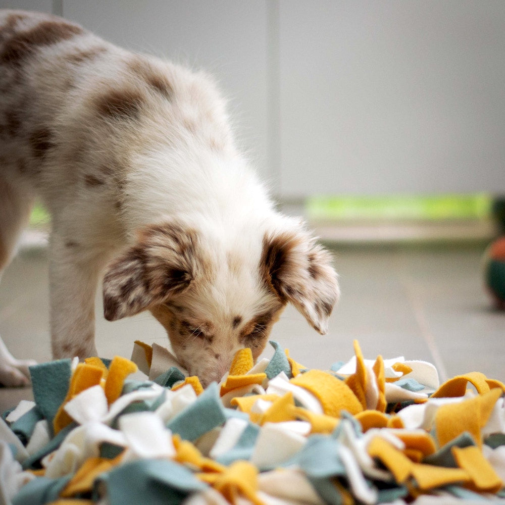 SPORT, SPEL & LUISTEREN