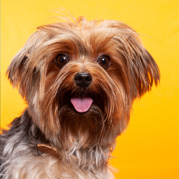 ROUTE 18 Programma<br><br> (= Route 18.1 & 18.2)