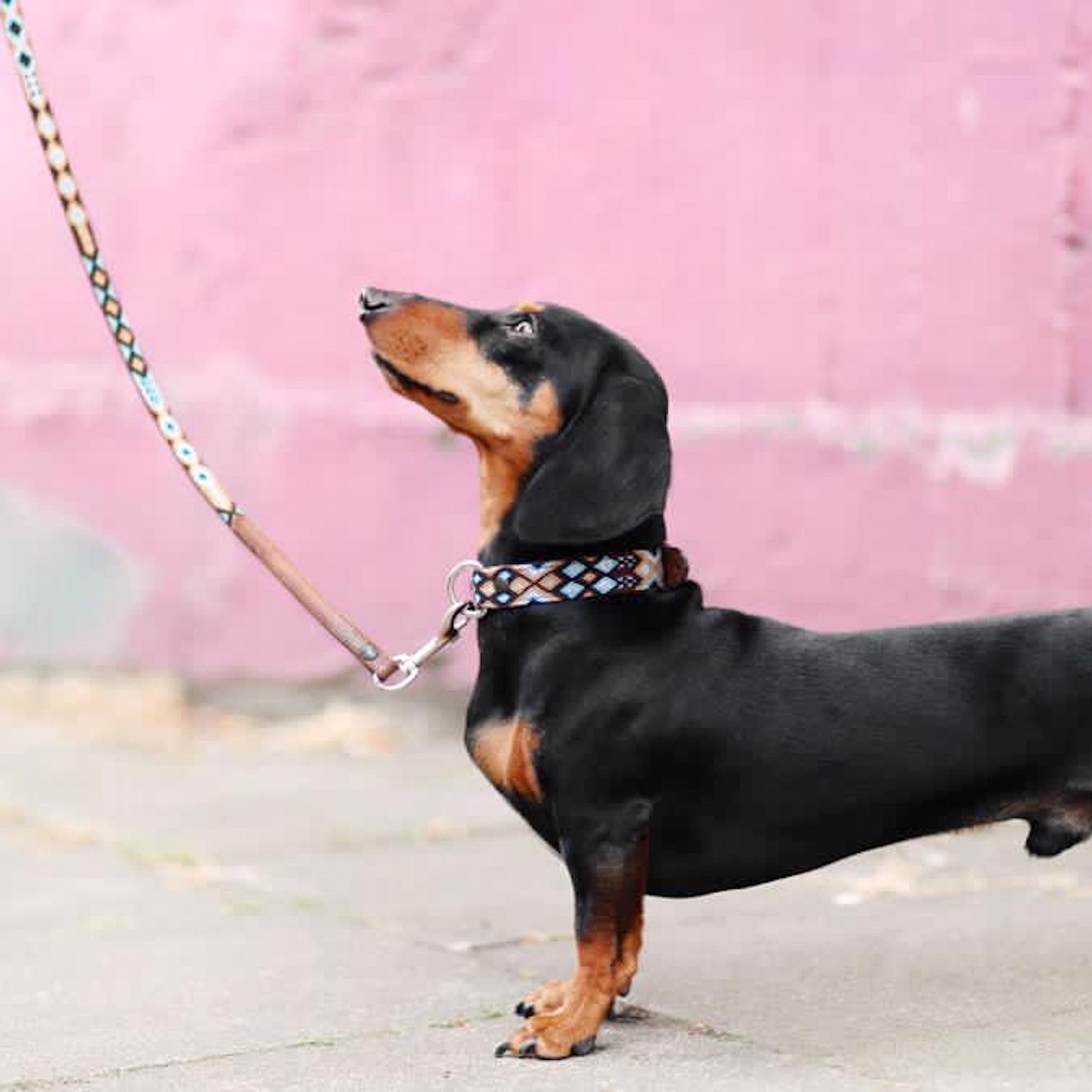 SPORT, SPEL & LUISTEREN