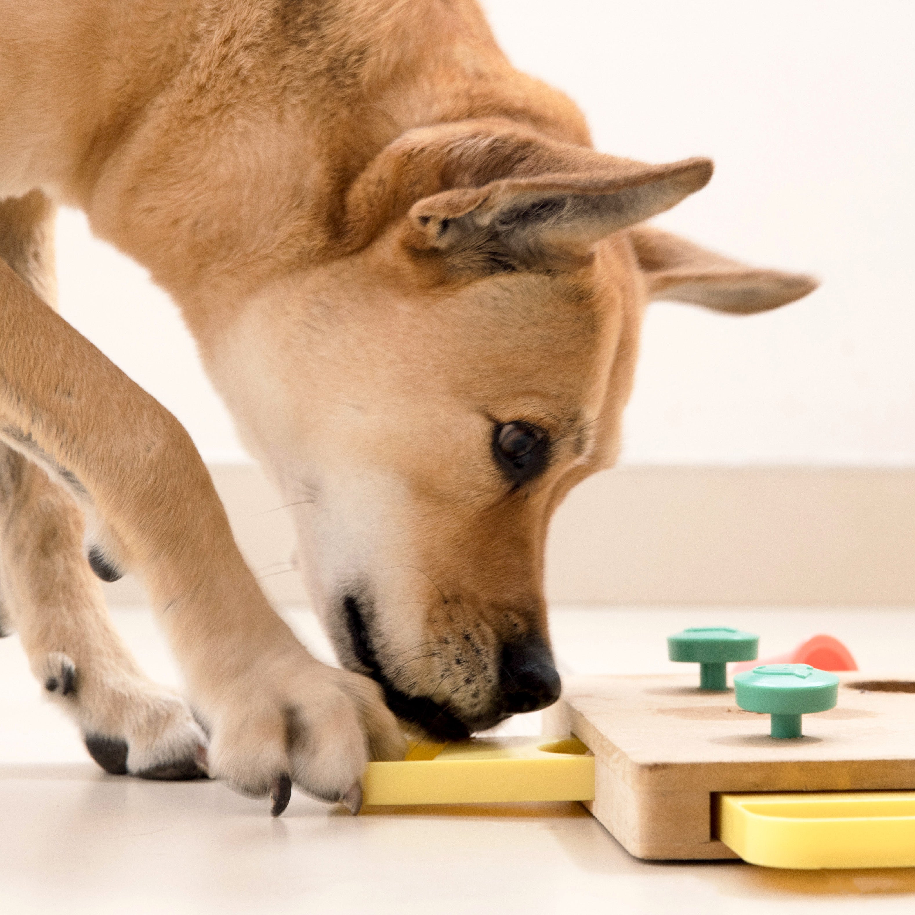 SPORT, SPEL & LUISTEREN