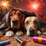 Vuurwerk en je hond