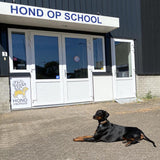 PronkHond